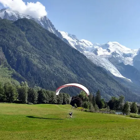 Happy Moose - Cosy Mont Blanc View Apartment Chamonix