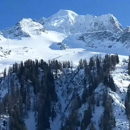Apartment Happy Moose - Cosy Mont Blanc View *