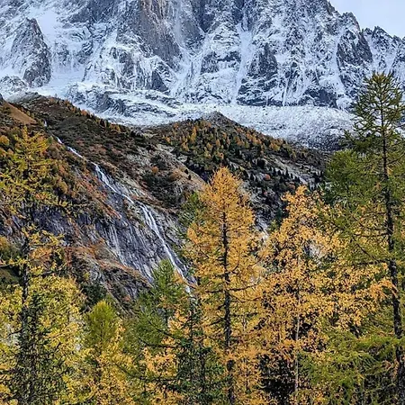 Apartment Happy Moose - Cosy Mont Blanc View