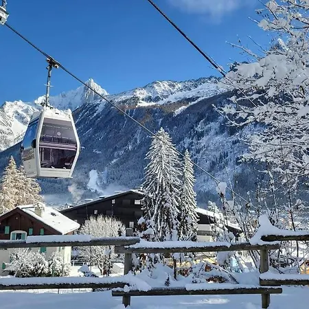 Happy Moose - Cosy Mont Blanc View
