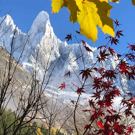 Appartement Happy Moose - Cosy Mont Blanc View With Sauna *