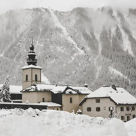 Happy Moose - Cosy Mont Blanc View