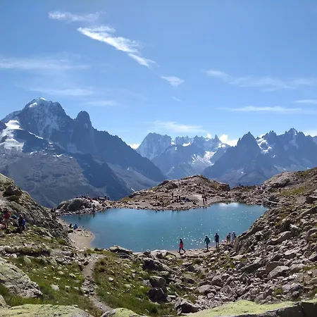 Happy Moose - Cosy Mont Blanc View *